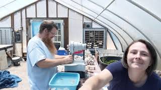 Download the video "Fragging Galaxia (Galaxy Coral)"