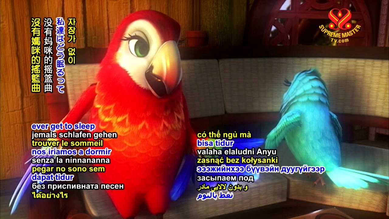 Birds of Paradise DVD