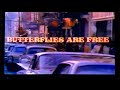 Opening To Butterflies Are Free 1972 1983 VHS