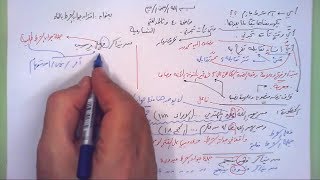 40 ➤   اقتران جواب الشرط بالفاء image