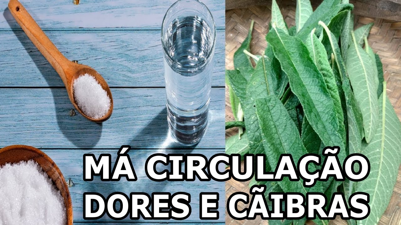 Má Circulação, Cãibras, Dor nas Articulações e Pedras nos Rins… #Remédio 💖 MARILENE SARAH FIALHO