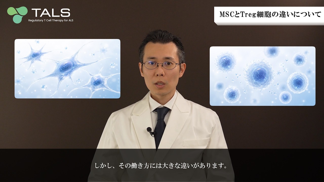 ③MSCとTreg細胞の違いについて