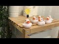 Six Geese A Laying