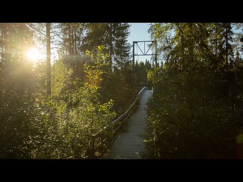 Obytňákem na sever 2024 (Finsko, Norsko, Švédsko)