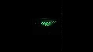 Courtney love northern star live in newcastle