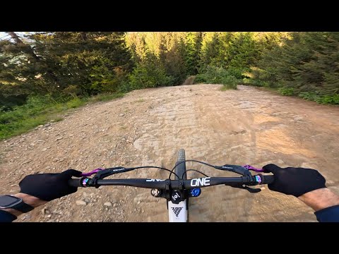 Speeding Up Down the Whistler Bike Park!