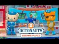 Octonauts Live Show At Sesame Place Fun Family Adventure Kid Friendly Fun