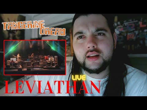Drummer reacts to "Leviathan" (Live) by Tangerine Dream