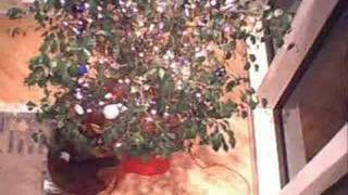 Sleigh Ride-David Koz