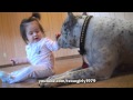 Pitbull ataca a bebita... a besos!