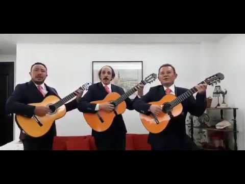 Trío Los Panchos de Chucho Navarro.Los dos