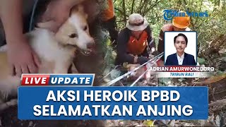 BPBD Klungkung Lakukan Aksi Heroik, Evakuasi Anjing yang Jatuh ke Jurang di Sekitar Gunung Merapi