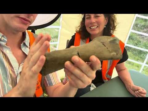 Paddling with Plesiosaurs at the Hills Quarry Products dig 2025 #tuskforce