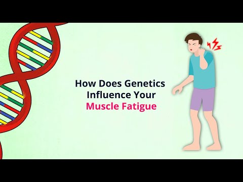 A Surprising Reason For Muscle Fatigue: Your Genes!
