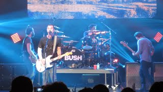BUSH - The Gift - The Wiltern 1/31/15