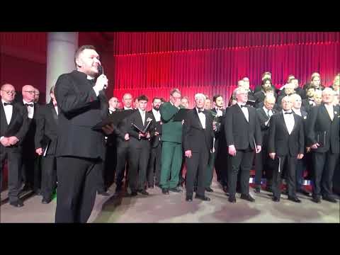 (2) RĪGAS VĪRU KORU KONCERTS ZVAIGZNES MIRDZUMĀ MEŽAPARKA ESTRĀDES KOKARU ZĀLĒ. RĪGA, 12.10.25.