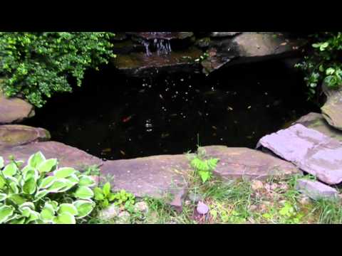 Bo Ailay Parpar Nechmad Shel Mishpachat Fischman