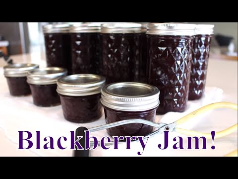 download lagu mp3 mp4 Blackberry Serrano Jam, download lagu Blackberry Serrano Jam gratis, unduh video klip Blackberry Serrano Jam
