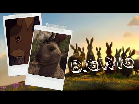 [Watership Down] Bigwig || I'm invincible