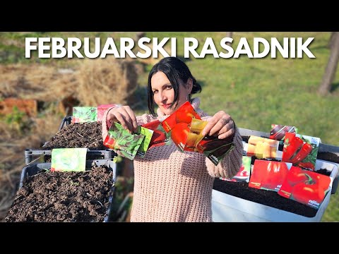 Sowing the February Nursery - THE SIMPLEST WAY
