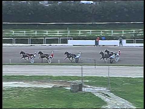 Trotto 28/03/2016 - Corsa Minitrotter