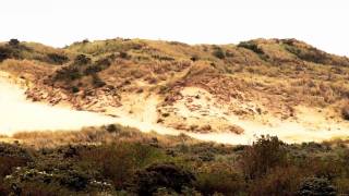 The Van Dyckx - Candy Says