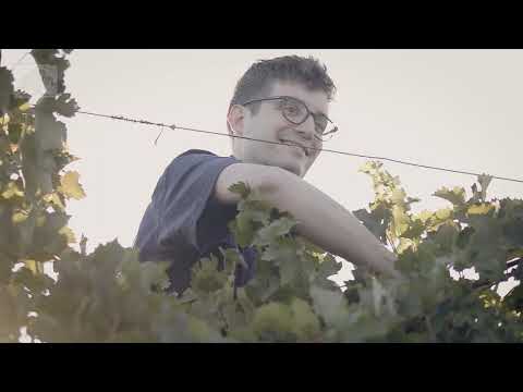 Primo Estate Wine Tasting Experience