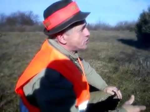 Mujo mačak vidio deve u krajini