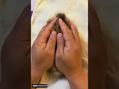 CORI NANNI😜🤣😅😹😹😸😺