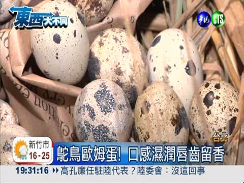 台味復活節! 500元鴕鳥蛋入菜