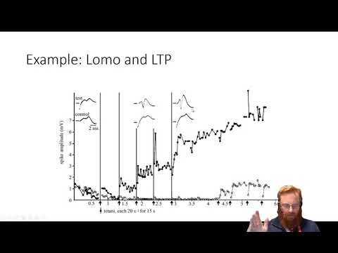 Electrophysiology 6 - Interpretation of Extracellular data.