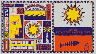 The Barbarians of California - No Sir I Won't Wear Your Jacket (Official Visualizer)