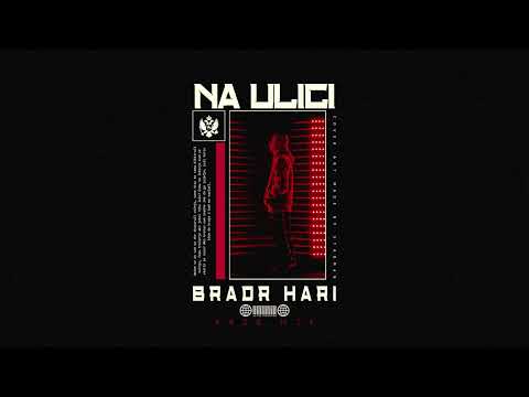 BRADR HARI - NA ULICI