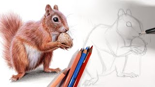 Sketch a squirrel with me in REAL TIME | Drawing Tutorial