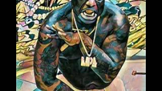 Peewee Longway - Cheetah