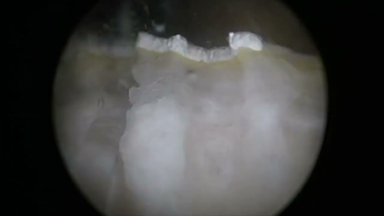 Andrés De Jesús Cabello García-24