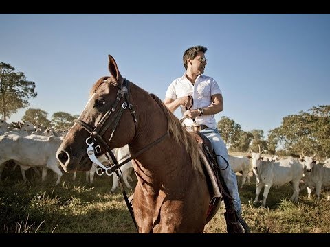 ZEZÉ DICAMARGO E LUCANO - "MEU PAÍS"