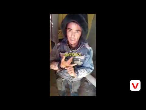 mulla buva 2