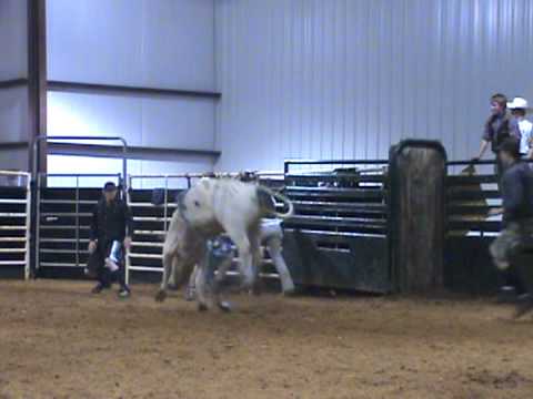 Lot #3203 - 3yr Old Son of #749 Rooster