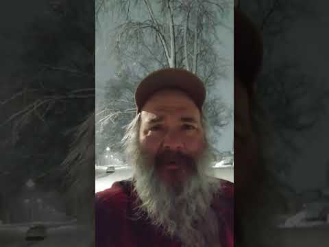 Warren, MI. Heavy wet snow falling March 3rd, 2023.