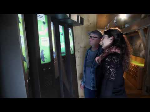 Bienvenue à l'Office de tourisme de l'Alsace Bossue