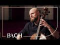 Bach - Cello Suite No. 2 in D minor BWV 1008 - Pincombe | Netherlands Bach Society