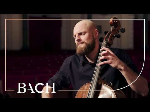 Bach - Cello Suite no. 2 in D minor BWV 1008 - Pincombe | Netherlands Bach Society Video