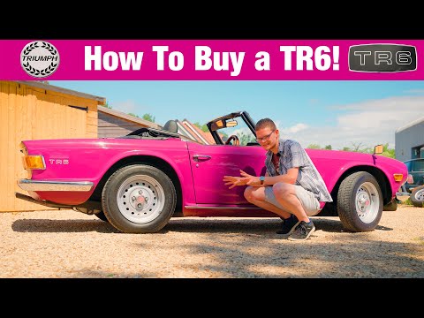 Triumph TR6 Buying Guide - EVERYTHING To Know About The British Brute Sports Car!