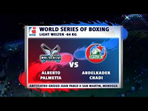 Highlights - Week 4 - WSB 4 - Condors Argentina vs  Algeria Desert Hawks
