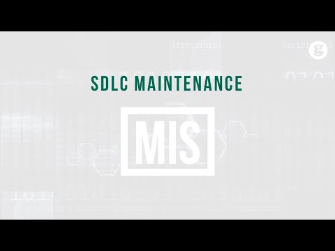 Information Systems in Life