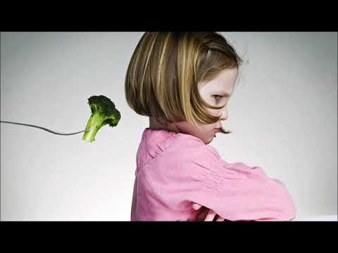 Udo Pollmer berichtet über den Circus Briccoli