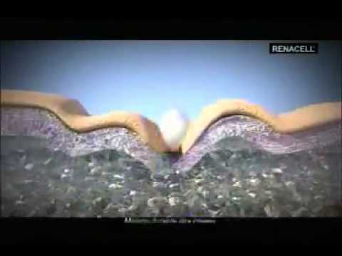 Maria Helena Doering-Renacell 2012