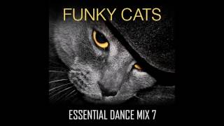 Funky Cats - Funky House, Deep House, Tech House - Essential Dance Mix 7