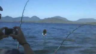 preview picture of video 'Eagle catching fish in Ketchikan AK'